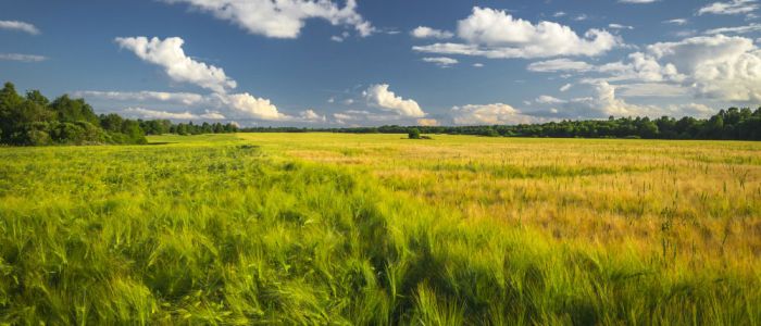country side image