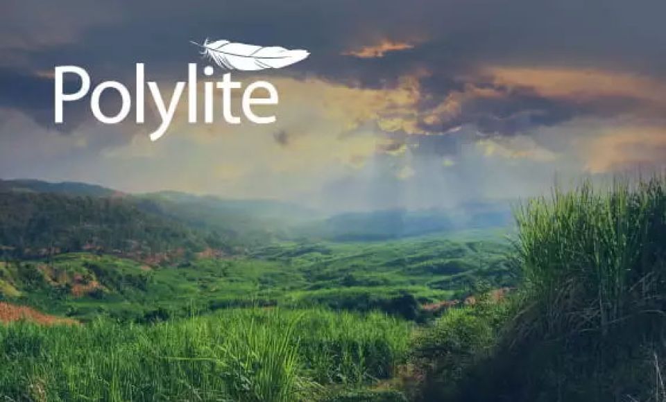 polylite graphic