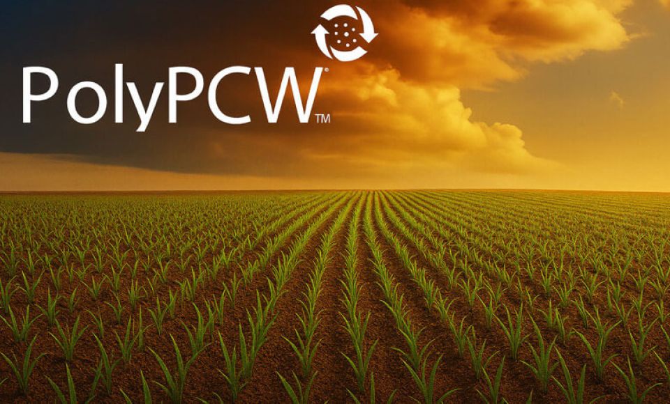 poly pcw graphic