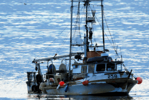 Fishing Boats